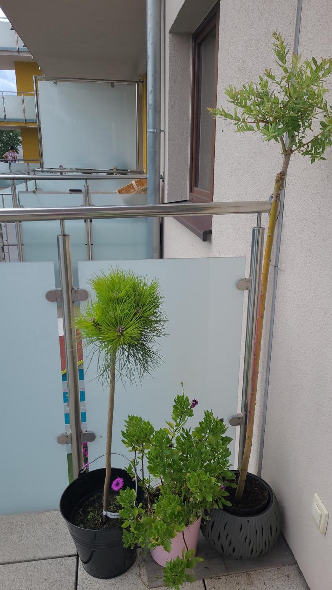 Apartament Lilla Jelenia Gora Bagian luar foto